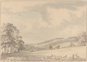 Hirsche ruhen im Albury Park