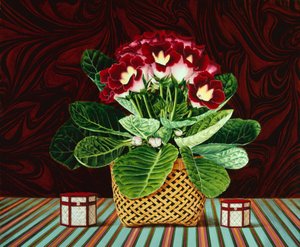 Gloxinia Stillleben