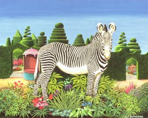 Zebra im Garten, 1977
