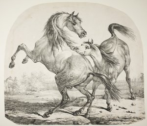 Wilde Pferde kämpfen, ca. 1820