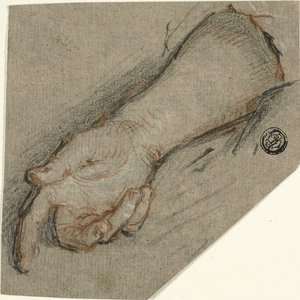 Rückseite der Hand und des Unterarms