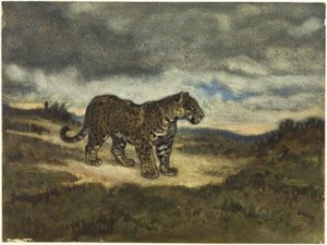 Jaguar stehend