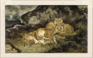 Löwin und Junge, ca. 1832