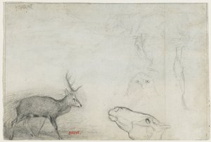 Tierstudien (verso)