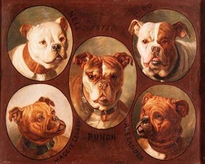 Nell, Dido, Punch, Maggie Lauder und Alexander, englische Bulldoggen von Antoine or Tony Dury