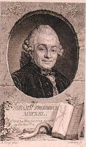 Porträt von Johann Friedrich Meckel (1724-76), graviert von John Schleuen von Anton (after) Graff