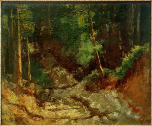Waldinneres