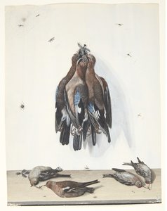 Stillleben mit Vögeln von Anton Ignaz Hamilton