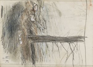 Baum mit kahlen Ästen