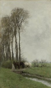 Pferde am Zaun von Anton Mauve
