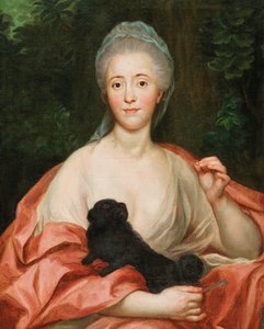Porträt der Herzogin Mariana de Silva-Bazán y Sarmiento 1739-1784, mit Hund, ca. 1760