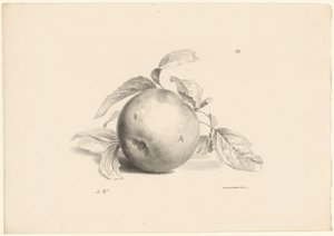 Apfel