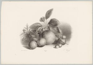 Blumen, Nektarinen und Haselnüsse