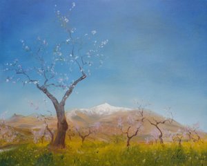 Mandelblüte mit schneebedecktem Sierra Nevada Berg, 2016 von Antonia Myatt