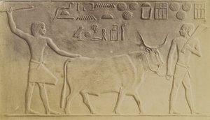 Heiliger Stier in Saqqara von Antonio Beato