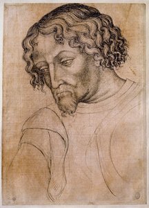 Büste eines bärtigen Mannes, Kopf nach links geneigt. Zeichnung aus der Werkstatt von Antonio di Puccio Pisano dit Pisanello (1395-1455) von Antonio Pisanello