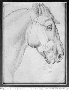 Kopf eines Pferdes, aus dem Vallardi-Album von Antonio Pisanello