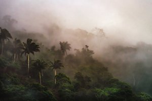 Corcovado XIX, 2020 von Antonio Schubert