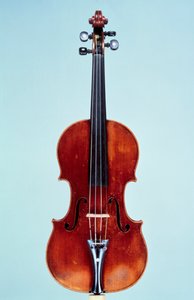 Violine