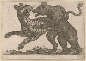 Ein Bär kämpft mit einem Tiger