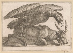 Ein großer Vogel greift ein Reh an Kämpfende Tiere (Serientitel) von Antonio Tempesta