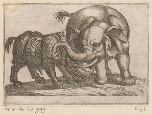 Ein Nashorn kämpft mit einem Elefanten von Antonio Tempesta