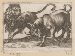 Ein Stier greift einen Löwen an von Antonio Tempesta