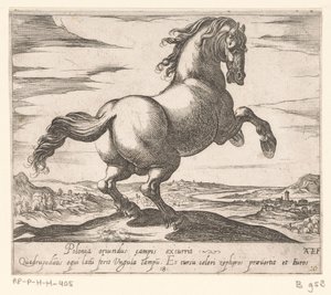 Steigendes Pferd nach rechts gewandt