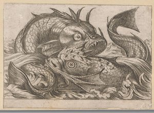 Zwei kämpfende Fische von Antonio Tempesta