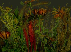 Anderswelt Nr. 92, 2019 von Antonius Antonius