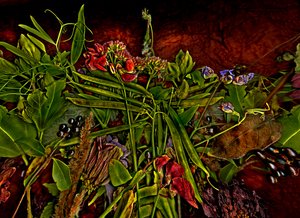 Stillleben m 3, 2014 von Antonius Antonius