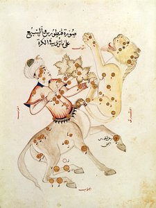 Ms 5036 fol.238 Die Sternbilder des Zentauren und des Löwen, aus Abhandlung über die Fixsterne von Abd-al-Rahman Al Sufi (903-986) von Arabic School