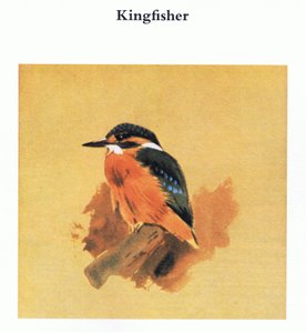 Eisvogel, veröffentlicht von Book Club Associates, 1972