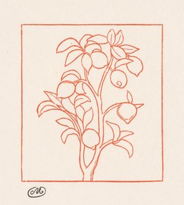 Die Georgica: Zitronenbaum