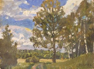 Sommerlandschaft