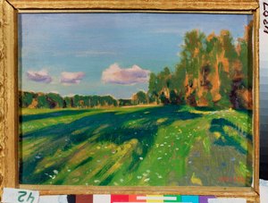 Sommerstudie