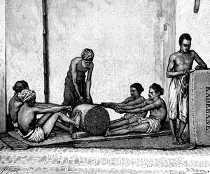 Zimtpflückung, Indien, 1895