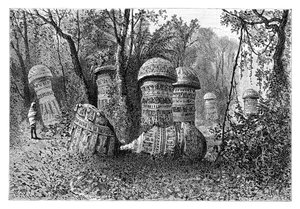 Ruinen eines Ahom-Tempels, Dinajpur, Oberassam, Indien, 1895