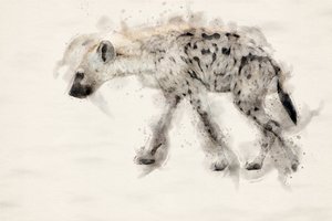 Gefleckte Hyäne Aquarell