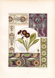 Primel-Motive und florale Ornamentvariationen