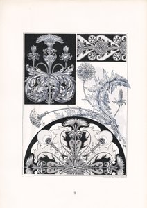 Stilisierte Distelornamente in Schwarz-Weiß