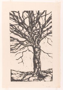 Kahler Baum