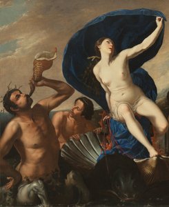 Der Triumph der Galatea