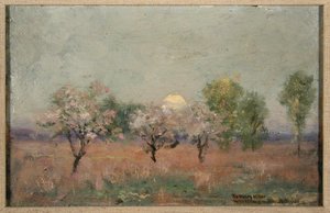 Landschaft