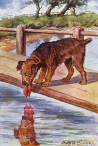 Äsops Fabeln: Der Hund und der Schatten