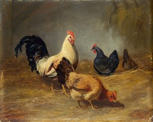 Geflügelfütterung