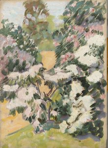 Blüte, um 1900 von Arthur Haythorne Studd