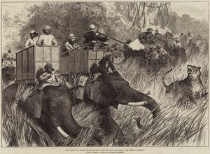 Der Prinz von Wales beim Tigerjagen mit Sir Jung Bahadoor, der kritische Moment