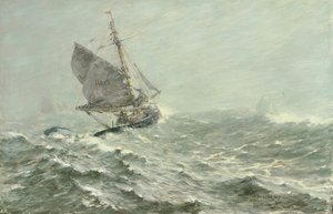 Der weiße Sturm