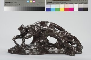 Hunde fangen Puma